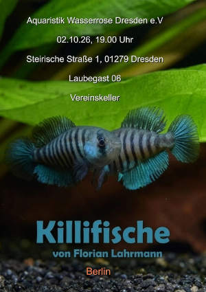 Killifische